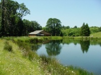 Waterfront Property in Douglas County Oregon